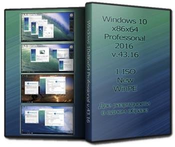 Windows 10x86x64 Professional v.43.16