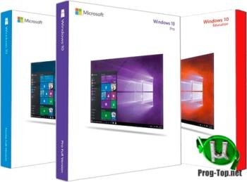   - Microsoft Windows 10.0.19041.508 Version 2004 (Updated Sept 2020)