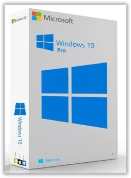 Windows 10 Pro 20H2 x64 + Office 2019 by LaMonstre  2020