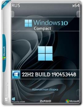  Windows 10 Pro 22H2 Build 19045.3448
