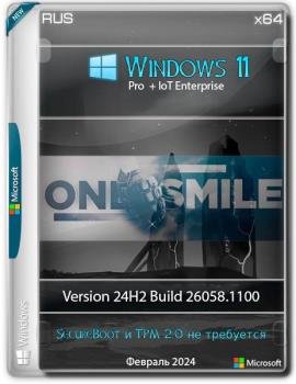 Windows 11 24H2 x64  by OneSmiLe [26058.1100]