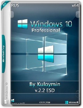 Windows 10 Pro by kuloymin v2.2 (esd) (x64)
