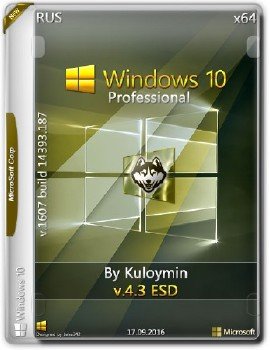 Windows 10 Pro x64 by kuloymin v4.3 (esd) [Ru]