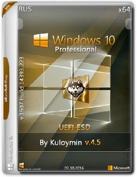 Windows 10 Pro by kuloymin v.4.5 (UEFI-esd) Русская