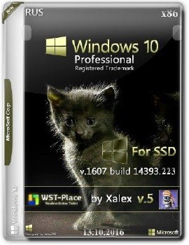 Windows 10  32 1607(14393.223) (for-SSD) v5 xalex
