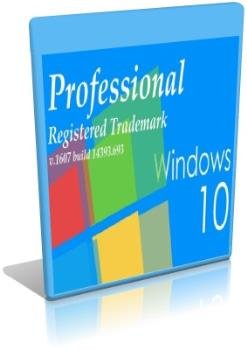 Windows 10 ProfessionalRegistered Trademark [v1607 14393.693]
