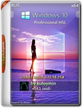 Windows 10 HSL/Pro 1803 x64 by kuloymin v14.1 (esd)