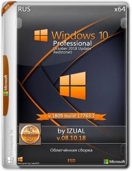Windows_10_Professional 17763.1 Version 1809 (x64) _IZUAL_08_10_18 (esd)
