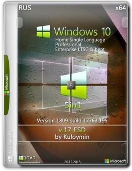 Windows 10 (v1809) x64 5in1 by kuloymin v17 (esd)