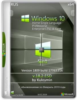 Windows 10 (v1809) 5in1 by kuloymin v18.2 x64bit