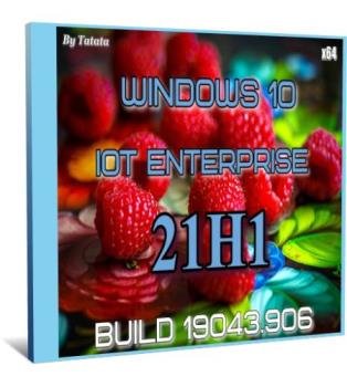 Windows 10 Iot Enterprise 19042.906 x64 by Tatata