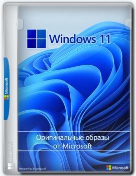 Windows 11 [10.0.22000.318], Version 21H2 (Updated November 2021) -    Microsoft MSDN