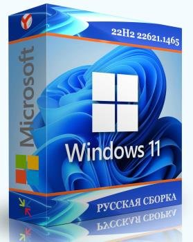 Windows 11 Pro x64 22H2 22621.1465     by WebUser