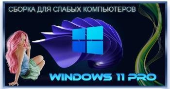 Windows 11    Pro 22H2 22621.2134 x64