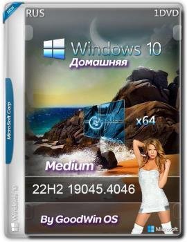 Windows 10 x64 Home  22H2 19045.4046 Medium by GoodWin OS