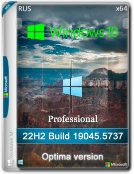Windows 10 Optima Pro 22H2 19045.5737 x64