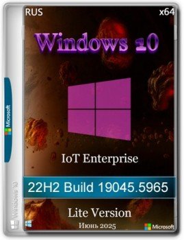 Windows 10 Lite IoT Enterprise 22H2 Build 19045.5965