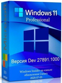 Windows 11 Pro  Dev Build 27891.1000