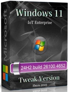 Windows 11 Tweak IoT Enterprise 24H2 build 26100.4652