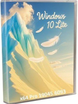 Windows 10 Pro    22H2 19045.6093 by Revision
