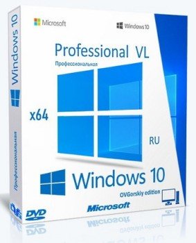 Windows 10 Pro VL x64 22H2  by OVGorskiy 10.2025