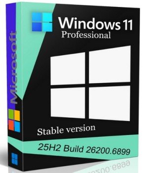 Windows 11 Pro 25H2 build 26200.6899 Stable