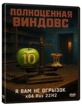 Windows 10 Pro x64   22H2 Build 19045.6456 by Rsload