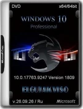 Windows 10 Pro 1809 Build 17763.9247 by Elgujakviso Edition